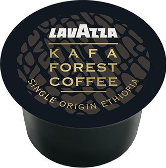 Cafea Kafa Forest