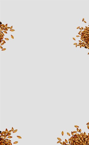 Orzo